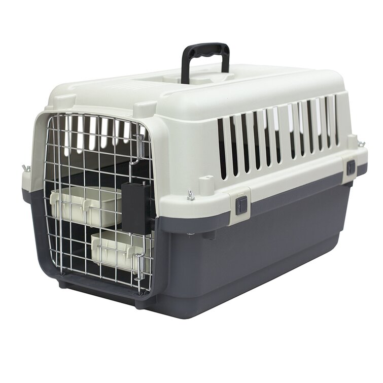 Small dog crates and outlet carriers